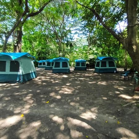 Happy Camping Arrecifes Dentro Del Parque Nacional Natural Tayrona El Coquito Zewnętrze zdjęcie