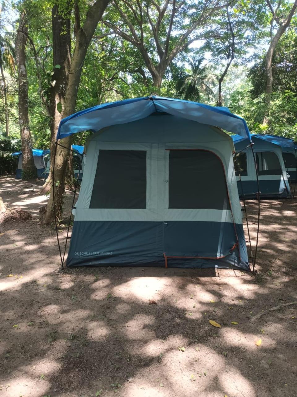Happy Camping Arrecifes Dentro Del Parque Nacional Natural Tayrona El Coquito Zewnętrze zdjęcie