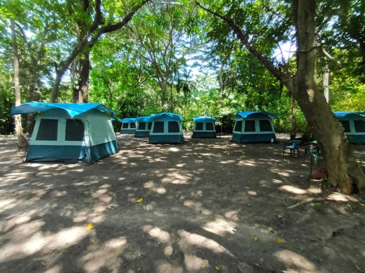 Happy Camping Arrecifes Dentro Del Parque Nacional Natural Tayrona El Coquito Zewnętrze zdjęcie
