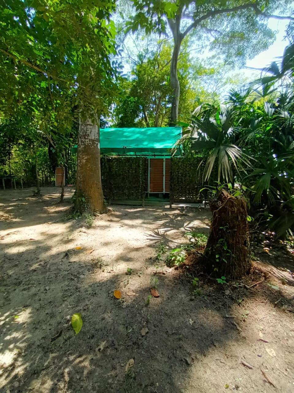 Happy Camping Arrecifes Dentro Del Parque Nacional Natural Tayrona El Coquito Zewnętrze zdjęcie